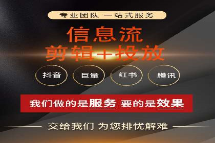 行业领先SEM托管代运营案例